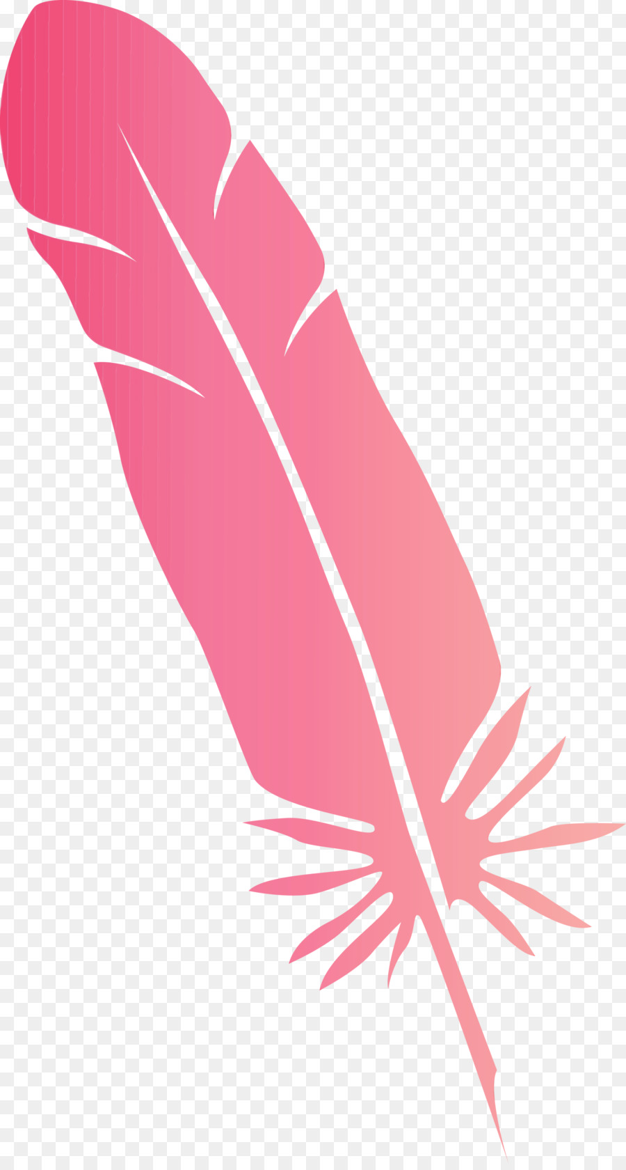 Rosa M，Pluma PNG