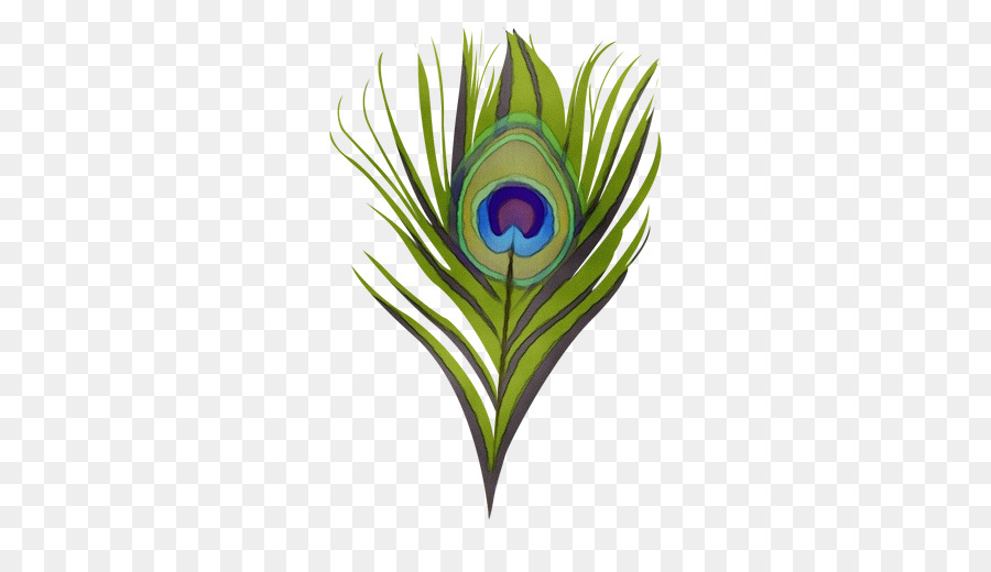 Pluma，Morado PNG