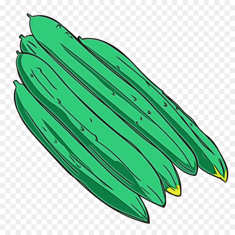 Okra，Verde PNG