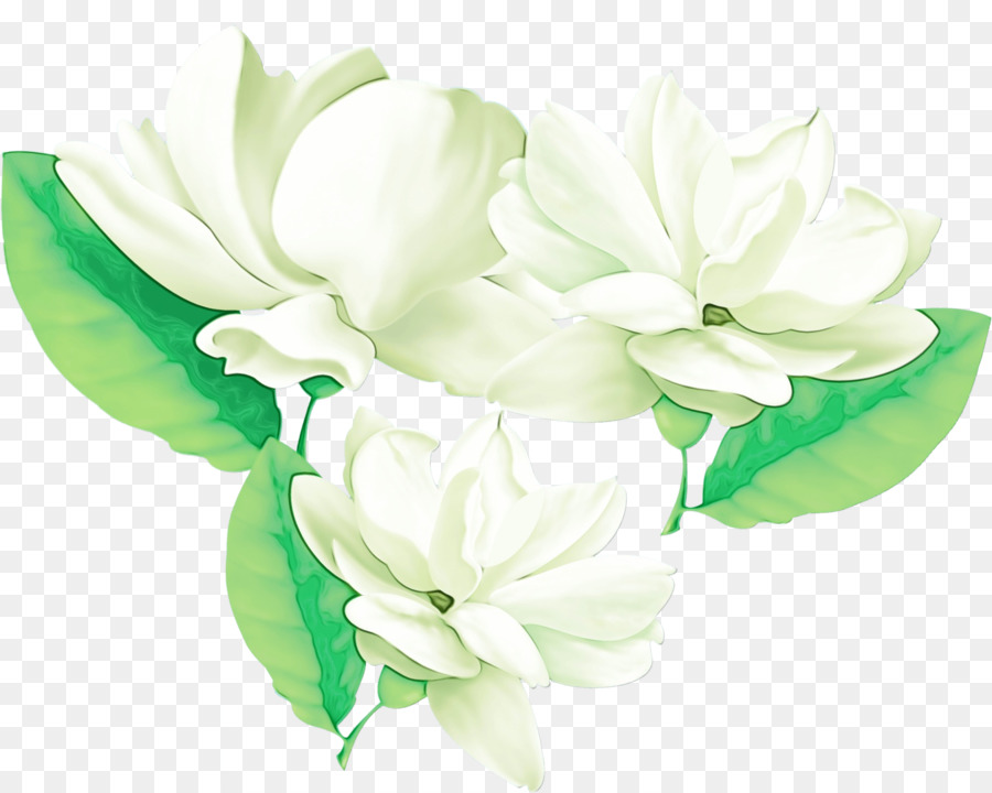 Gardenia，Diseño Floral PNG