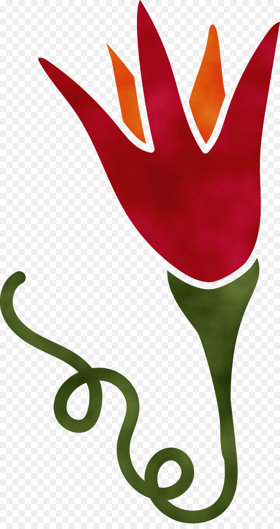Tallo De La Planta，Tulip PNG