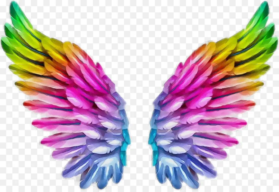 Alas De Arcoiris，Plumas PNG