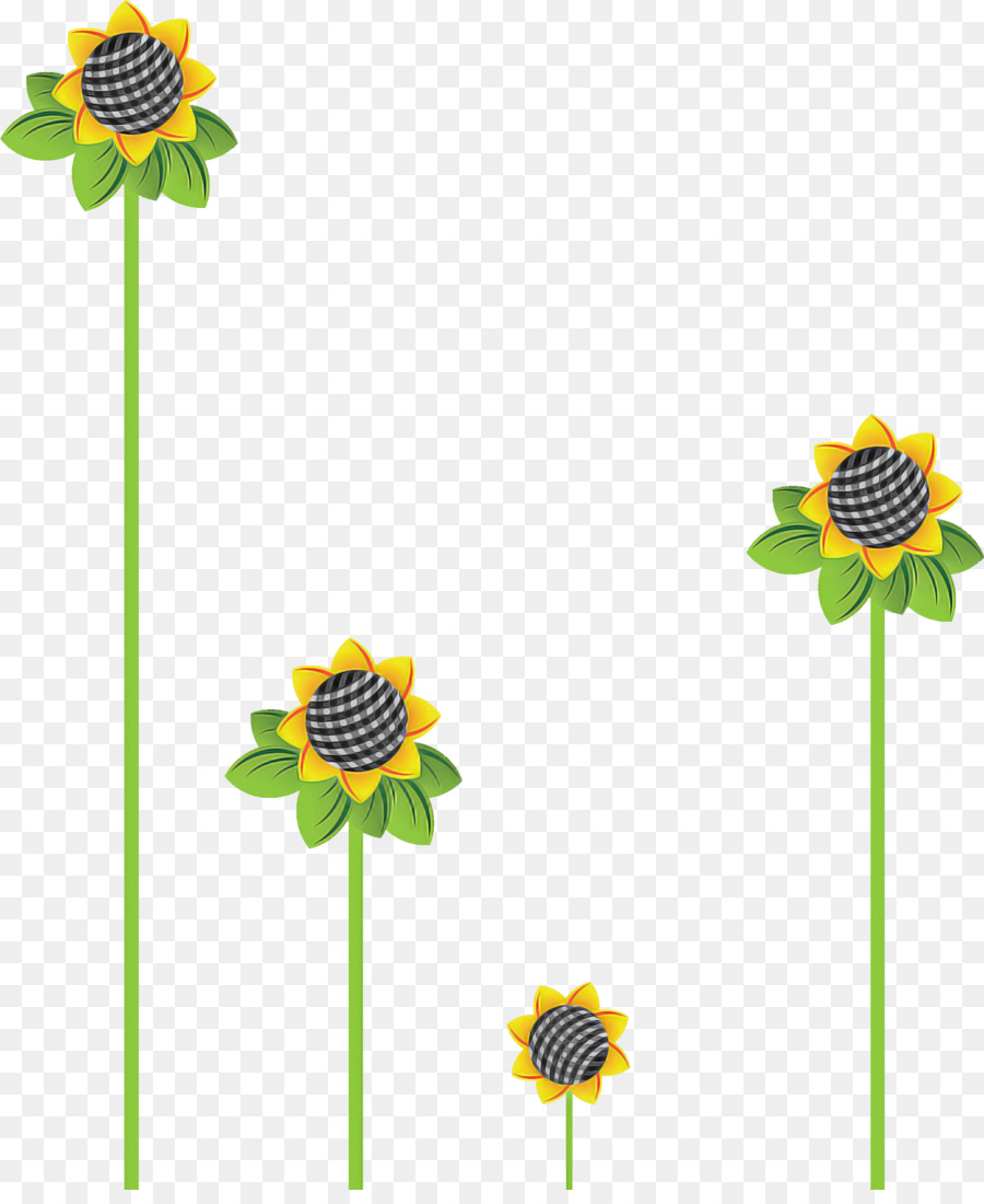 Logotipo，Girasol PNG