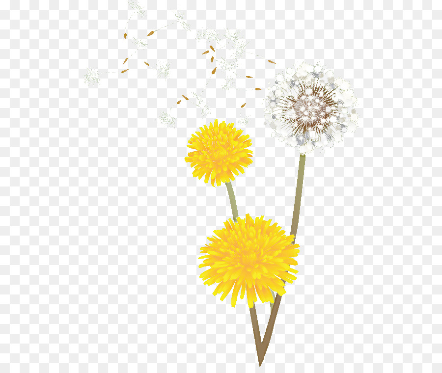 Las Flores Cortadas，Amarillo PNG