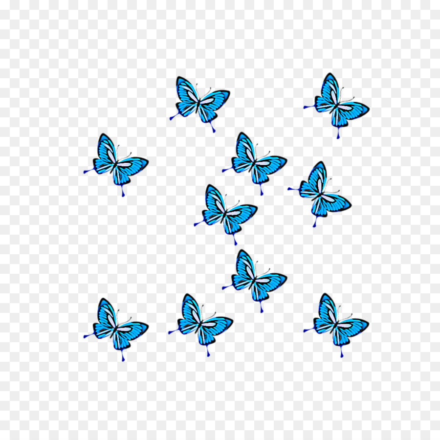 Mariposas Azules，Vuelo PNG