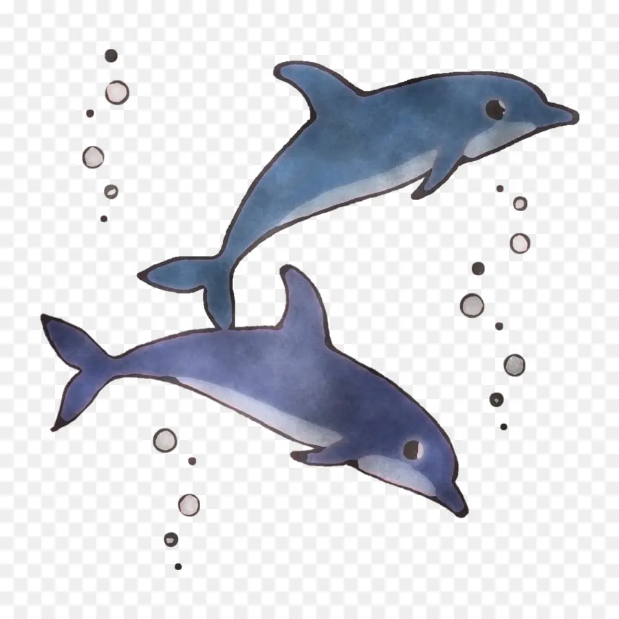 Delfines，Mar PNG