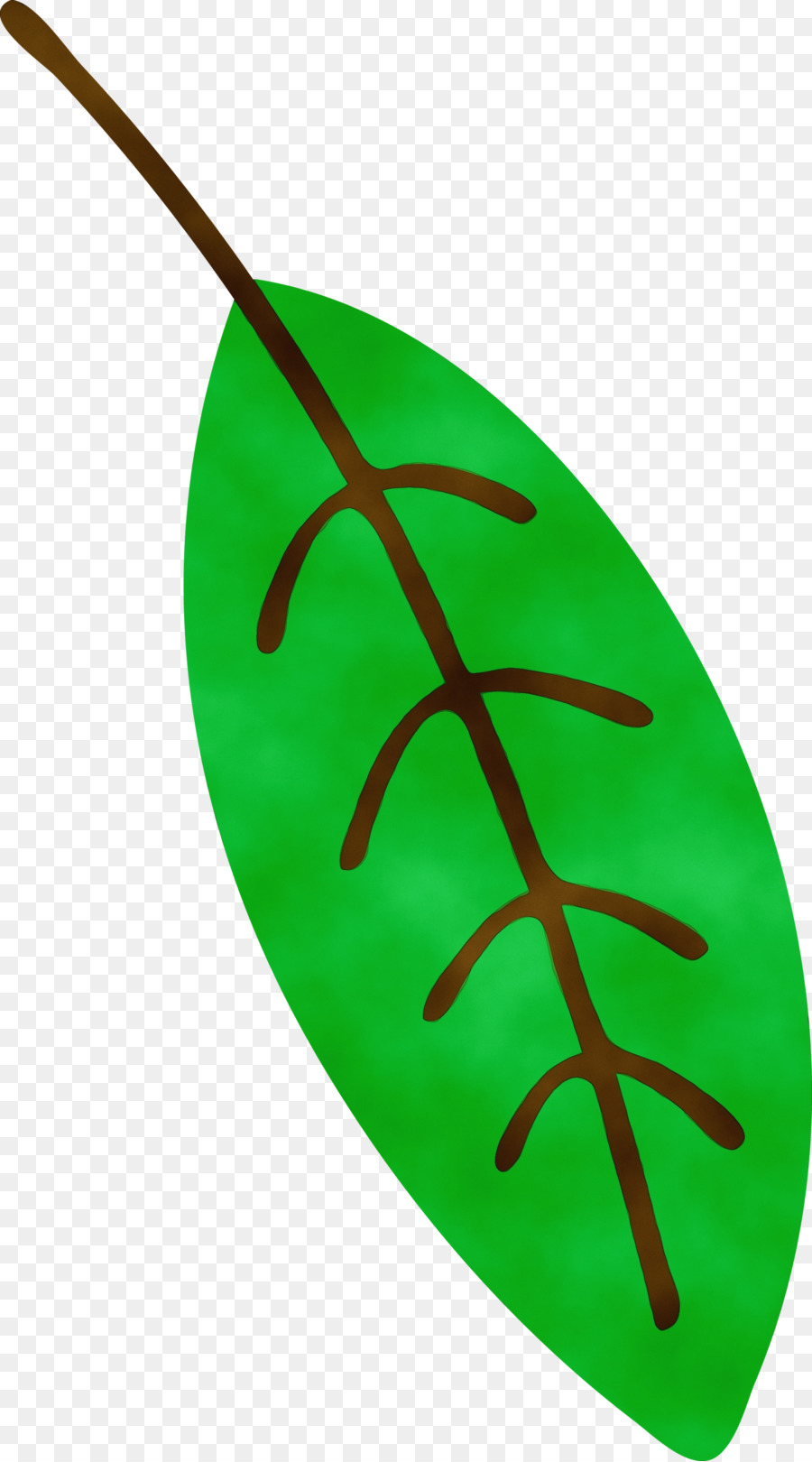 Hoja，Verde PNG