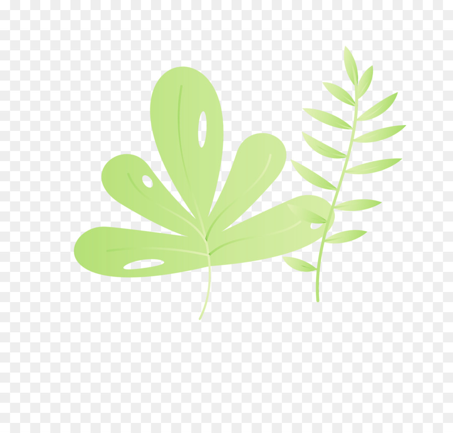 Hoja，Tallo De La Planta PNG