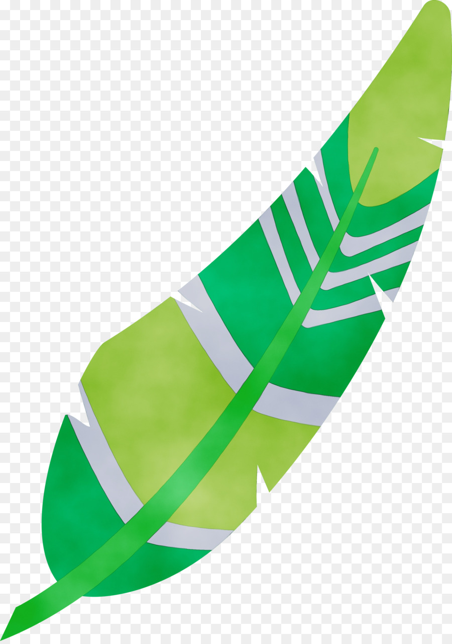 Hoja，Verde PNG