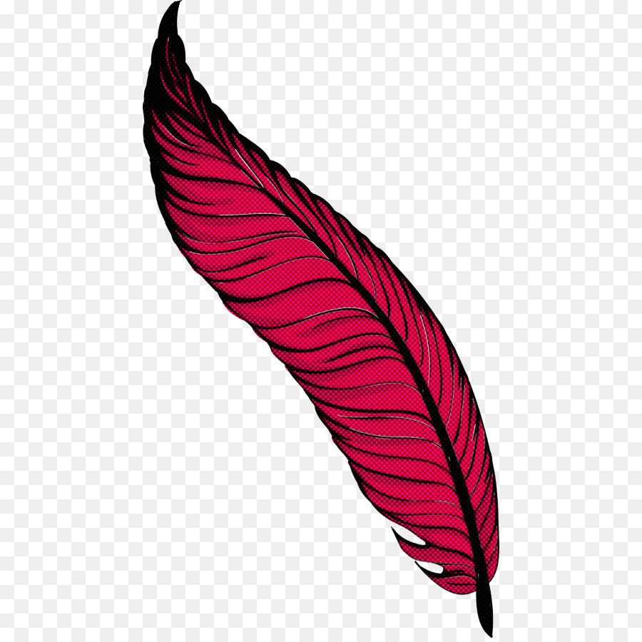 Pluma Roja，Pájaro PNG