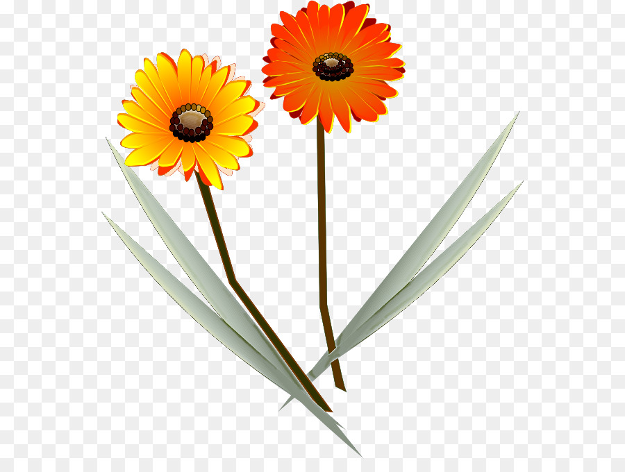 Flor，Dibujo PNG