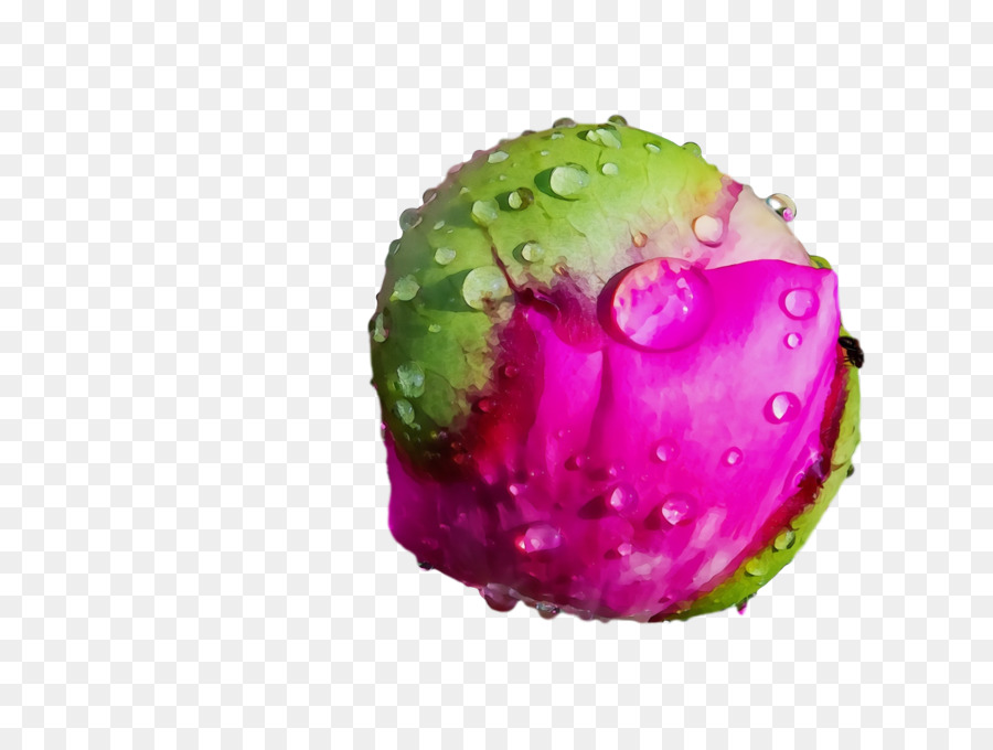 La Fruta，Magenta Telekom PNG