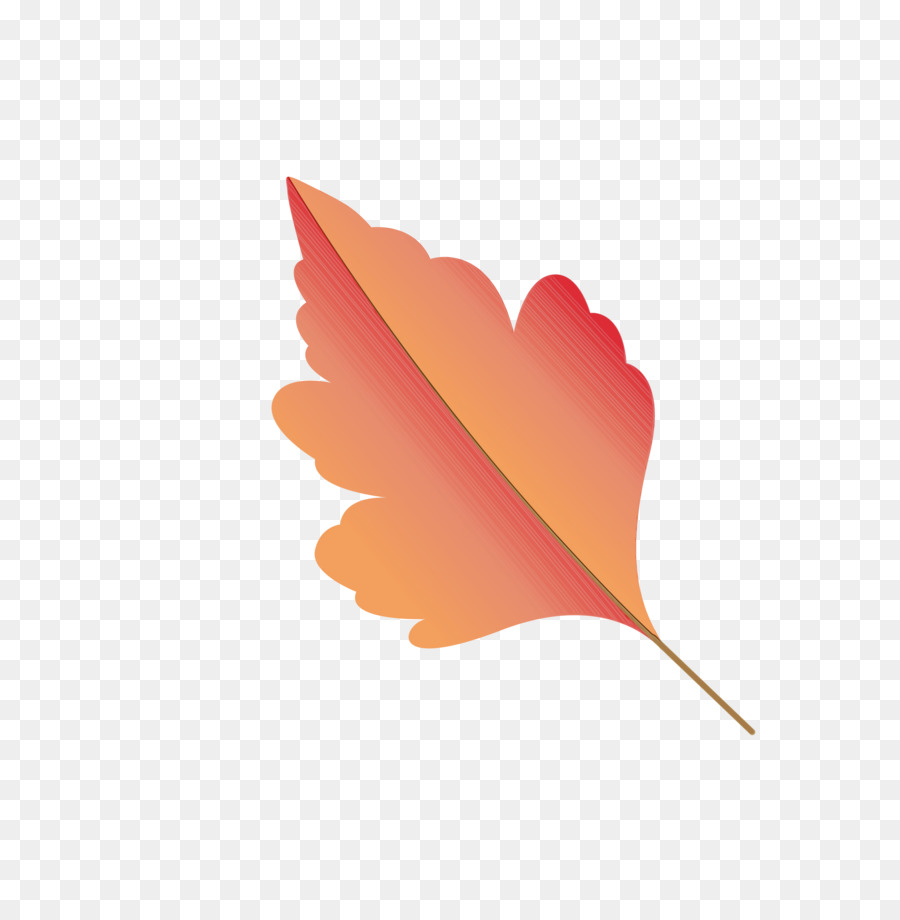 Hojas De Otoño，Caer PNG