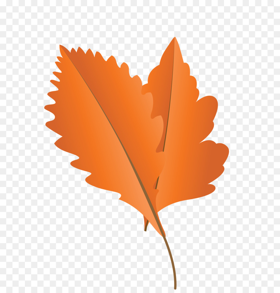 Hojas De Otoño，Caer PNG