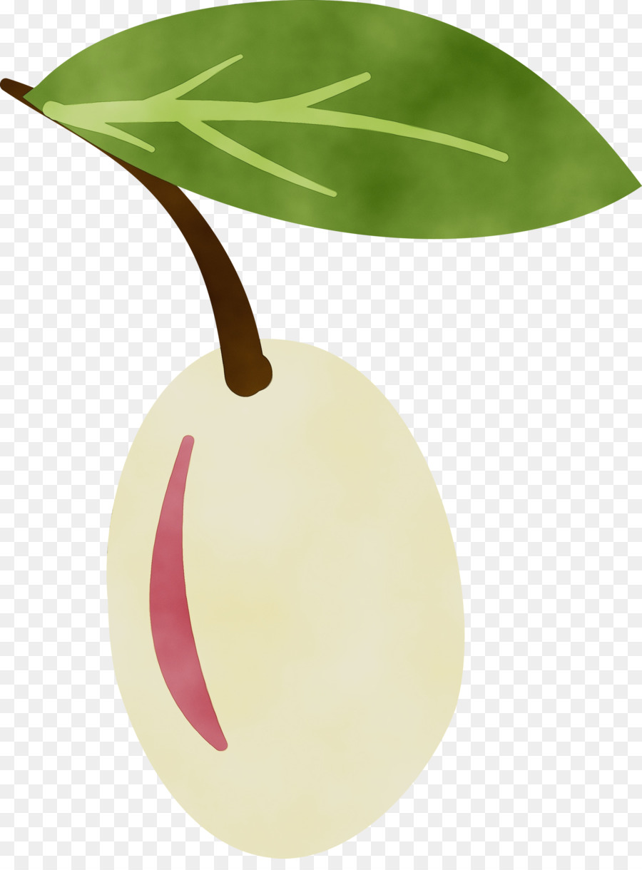 Hoja，Fruta PNG