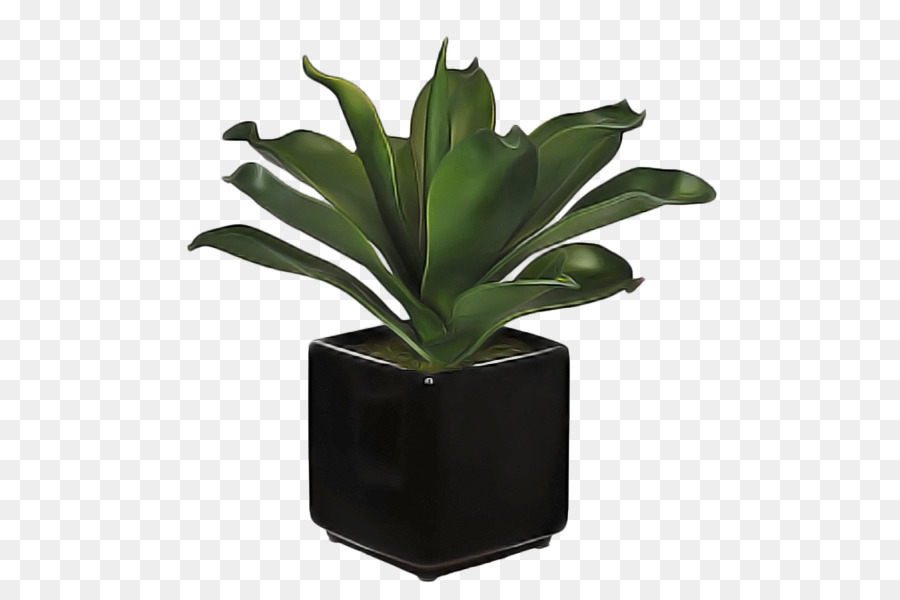 Maceta，Planta De Interior PNG