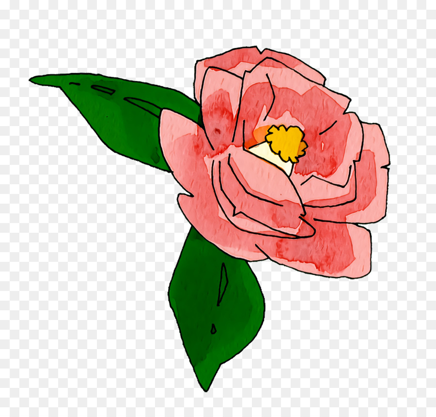 Las Rosas De Jardín，Diseño Floral PNG