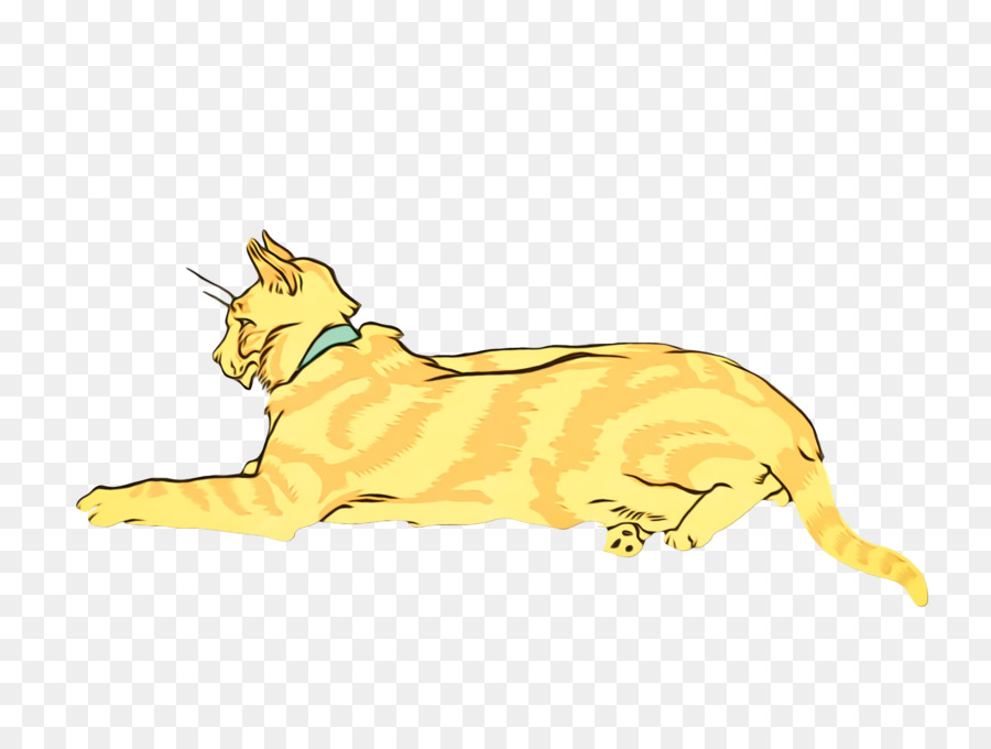 Gato Rayado，Felino PNG