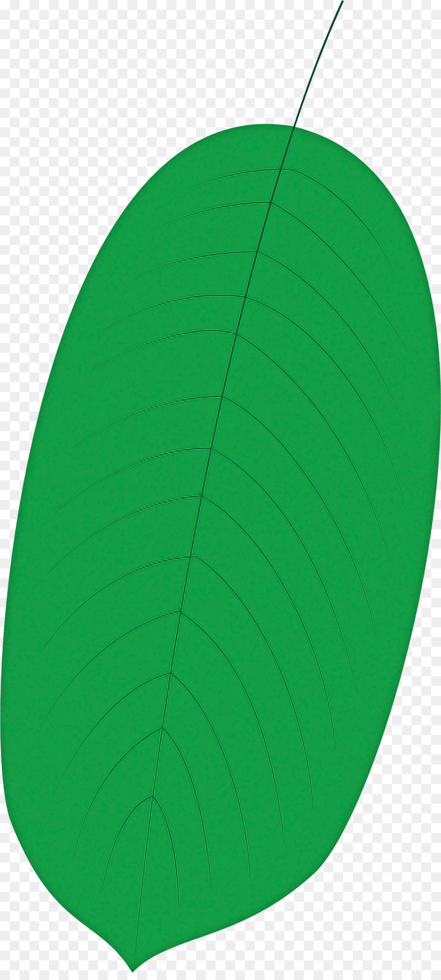 Hoja，Verde PNG