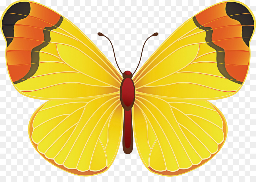 Las Mariposas，Blog PNG