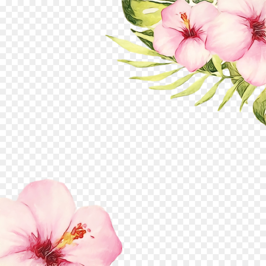 Flores Rosadas，Florecer PNG