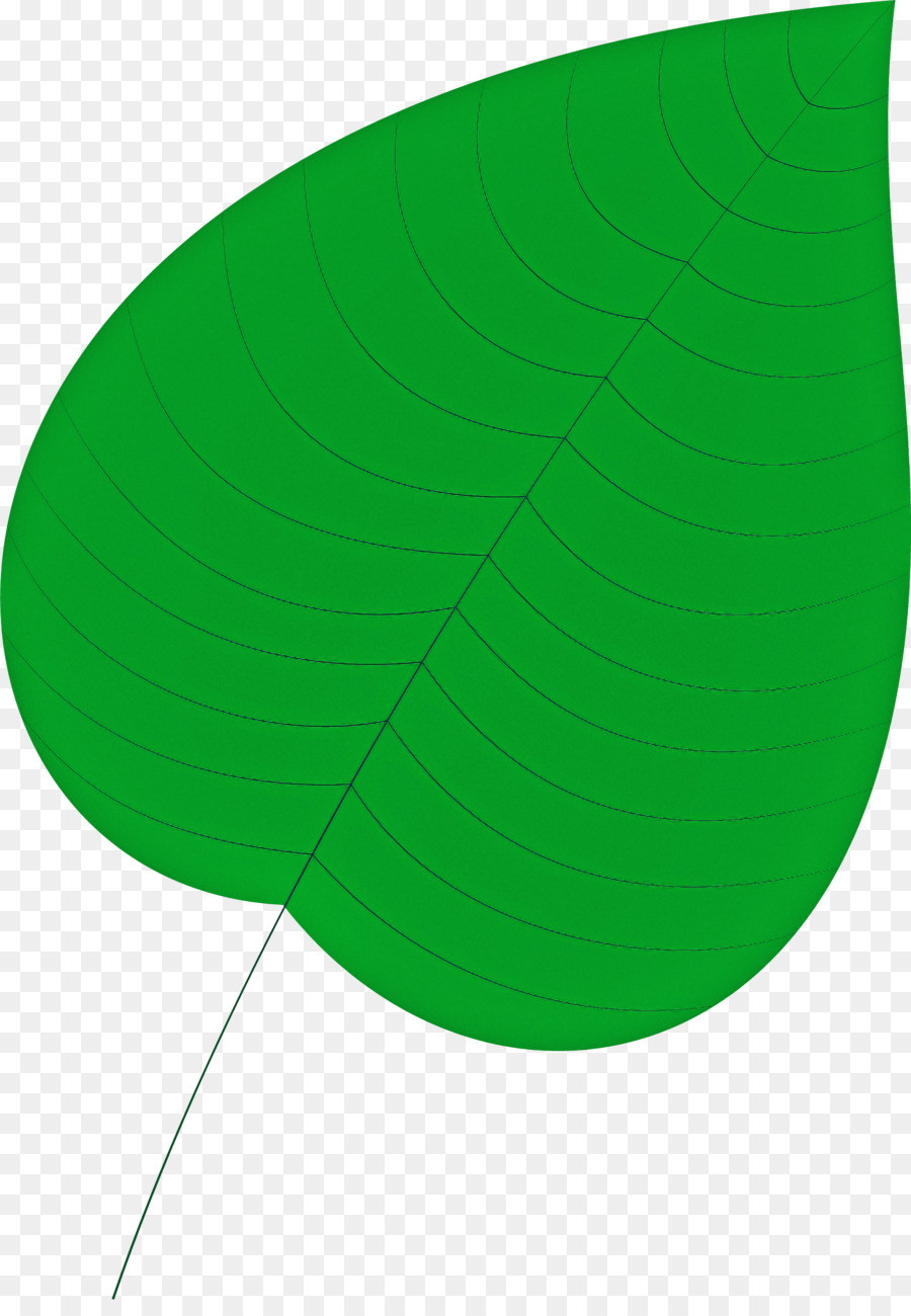 Hoja Azul，Naturaleza PNG