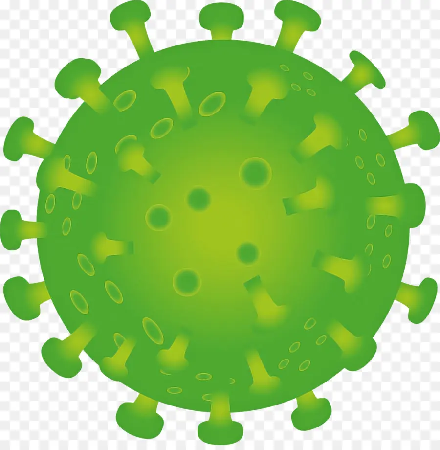 Virus，Verde PNG