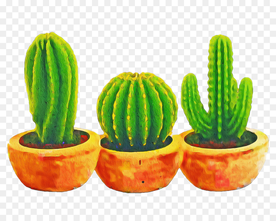 Cactus，Planta Suculenta PNG