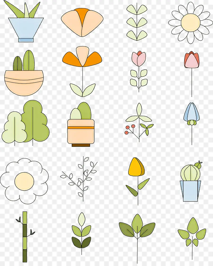 Plantas，Variedad PNG