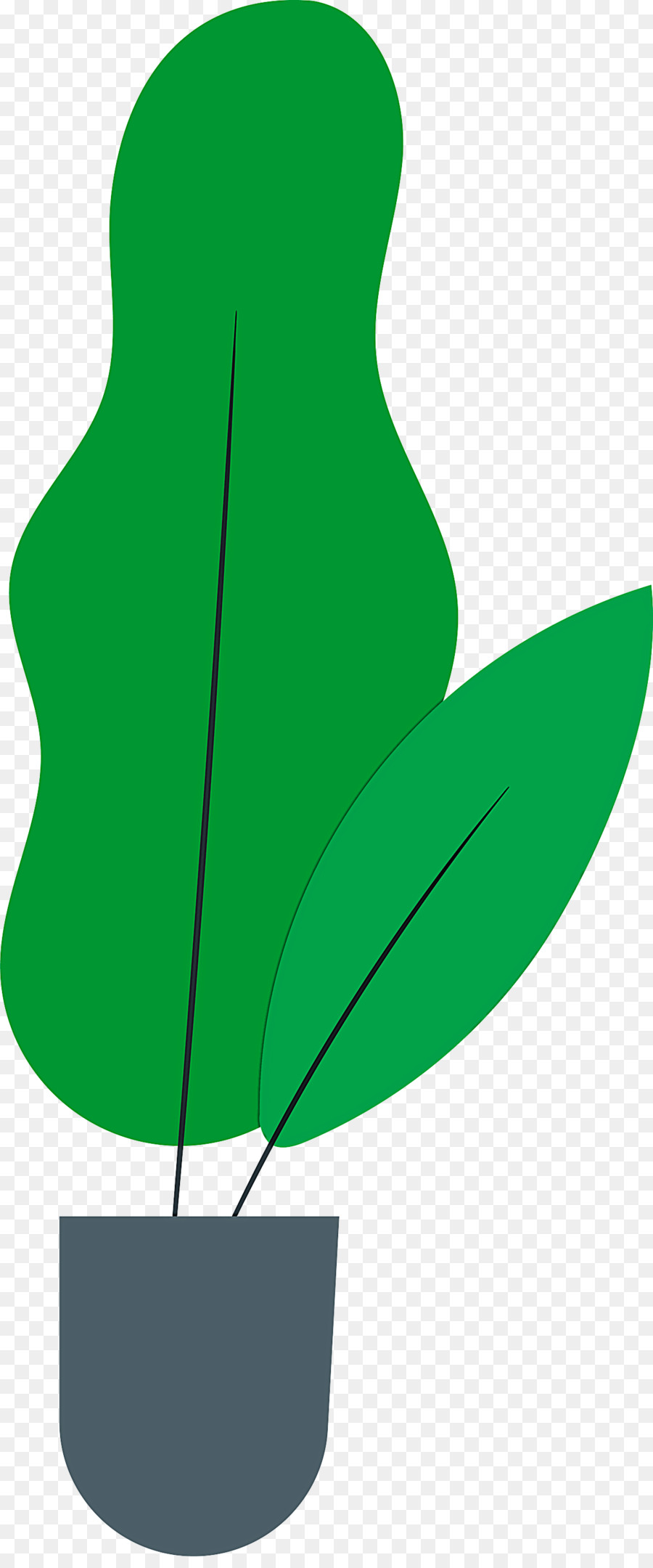 Planta，Hoja PNG