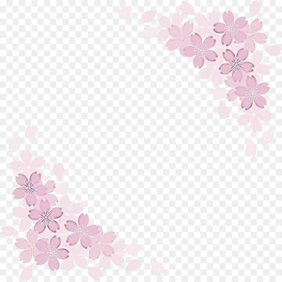 Sakura，De Los Cerezos En Flor PNG