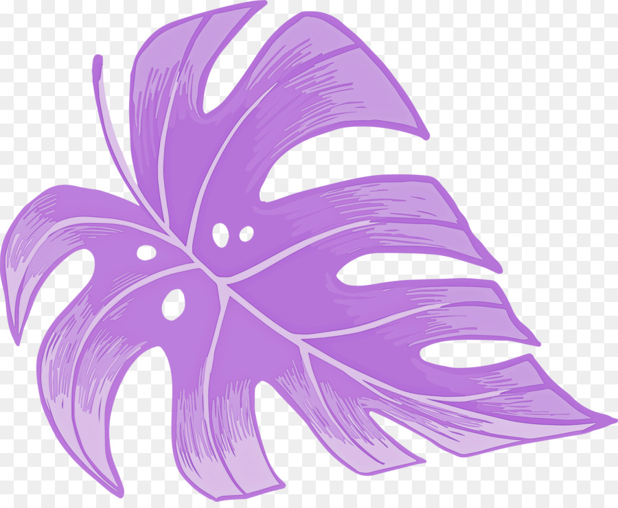 Hoja，Planta PNG