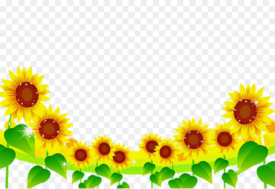 Girasoles，Flores PNG