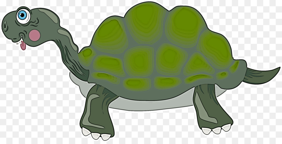 Tortuga，Las Tortugas PNG