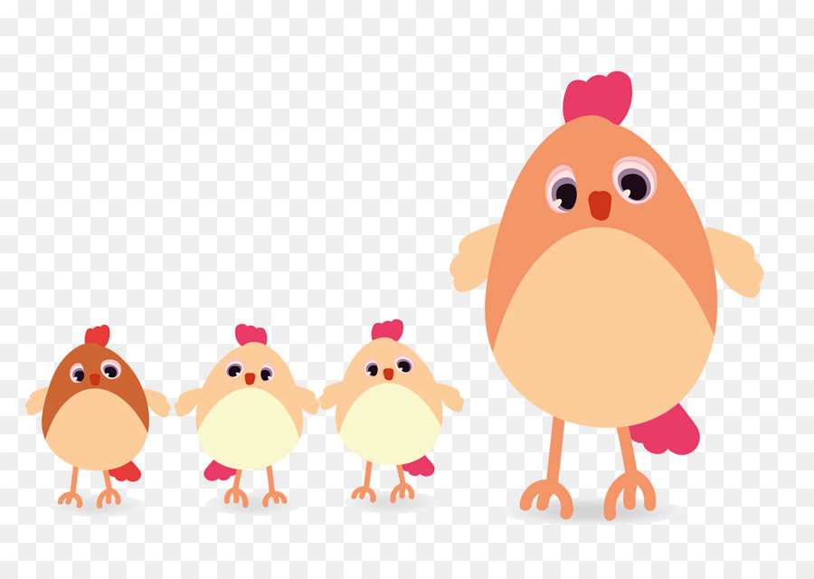 Pollo，Aves PNG