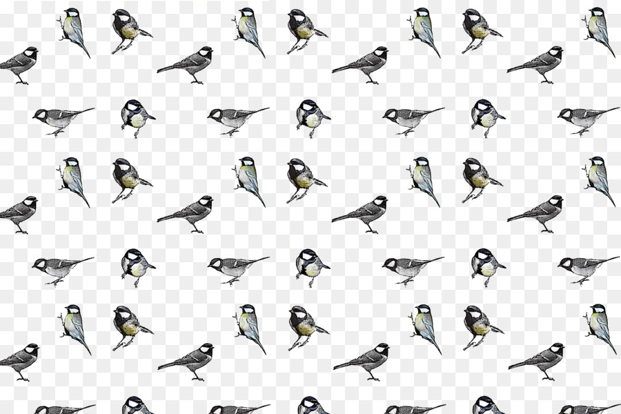 Pato，Aves PNG