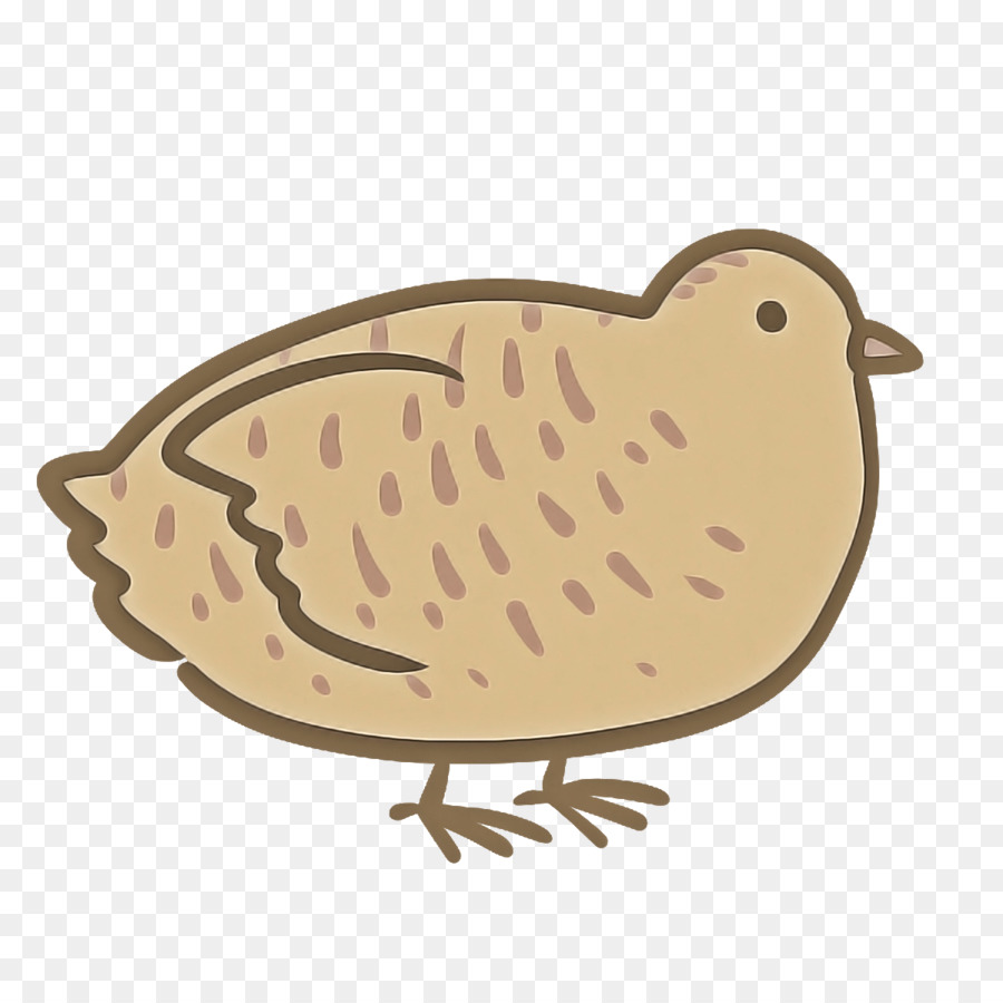 Aves，Los Loros PNG