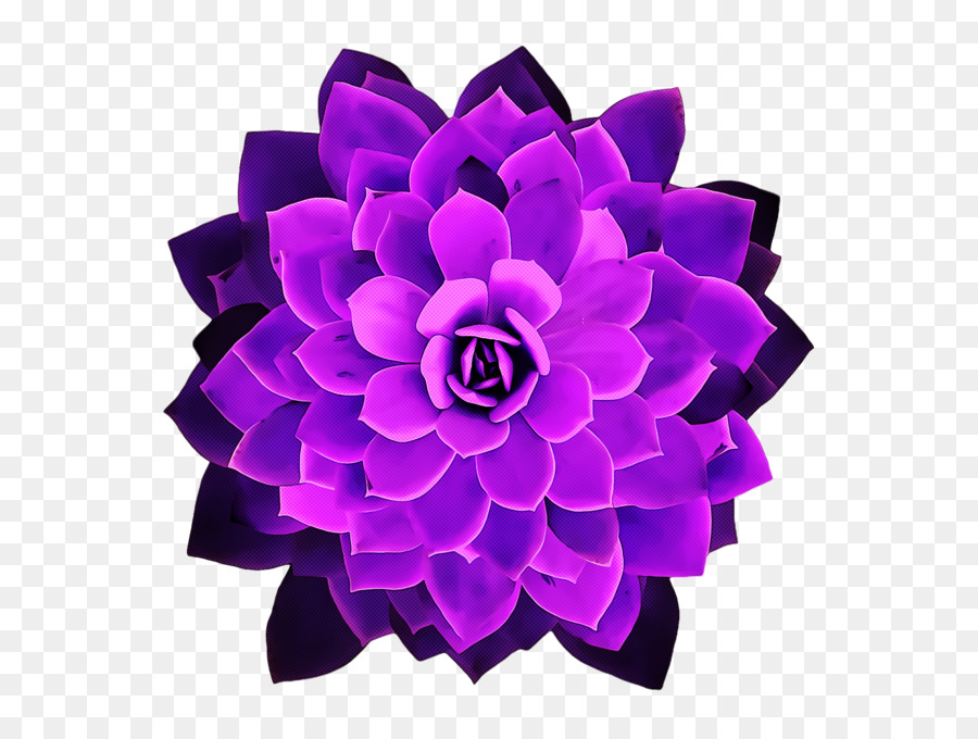 Las Flores Cortadas，Morado PNG