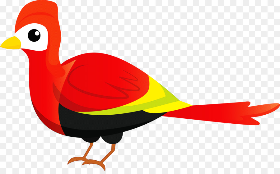 Aves，Pato PNG