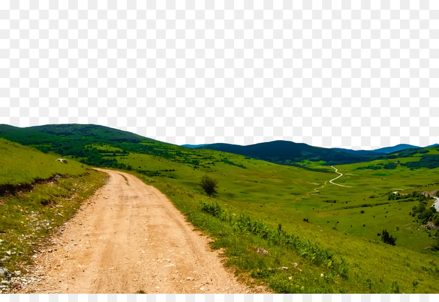 Montaje De Escenografía，La Comunidad Vegetal PNG