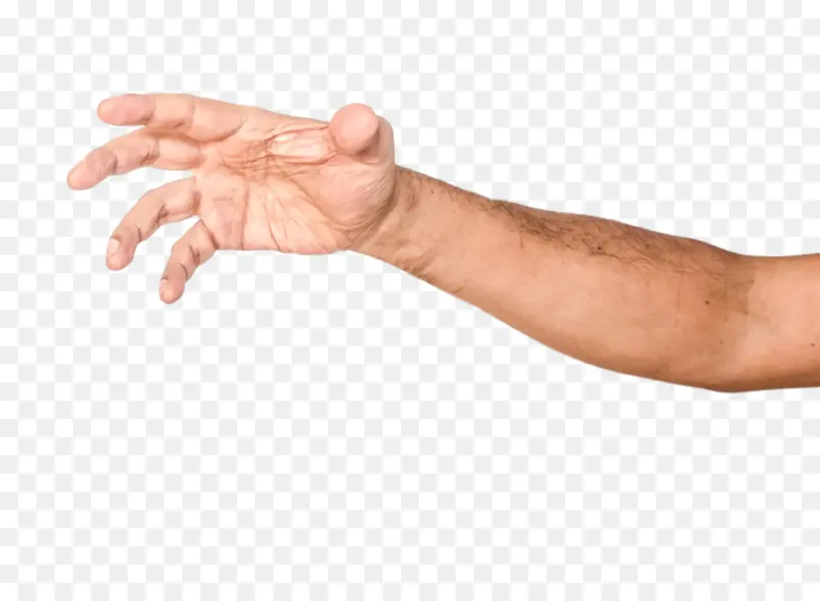 De La Mano De La Modelo，Uñas PNG