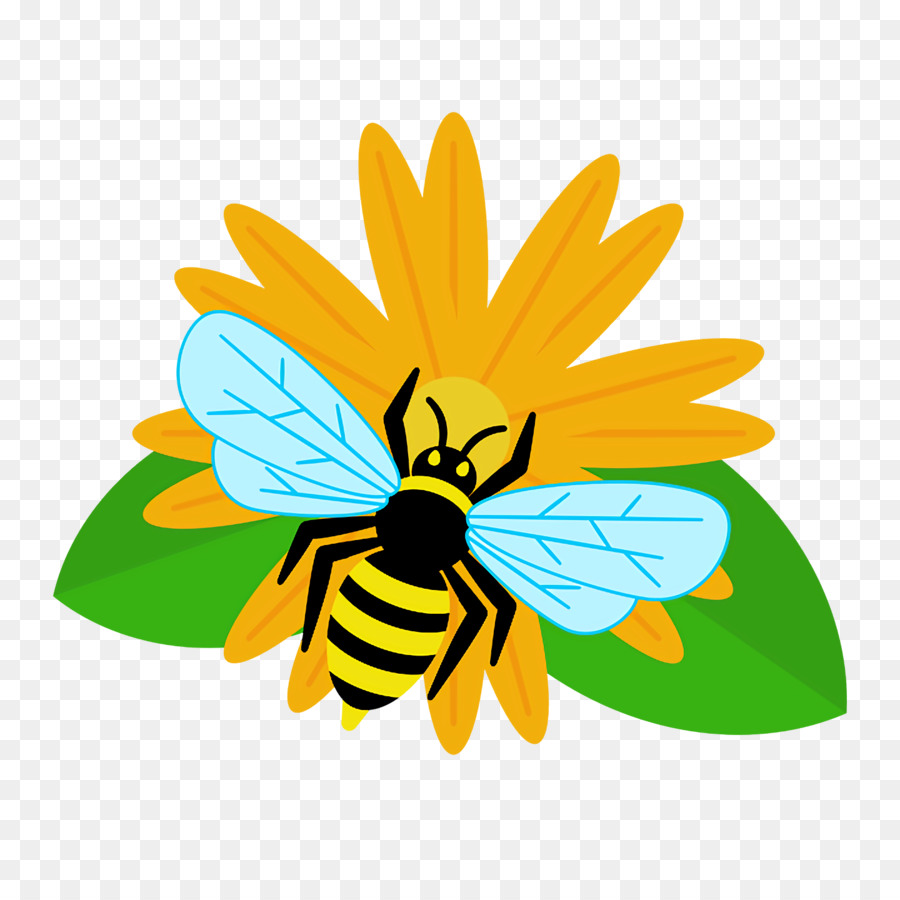 La Miel De Abeja，Las Abejas PNG