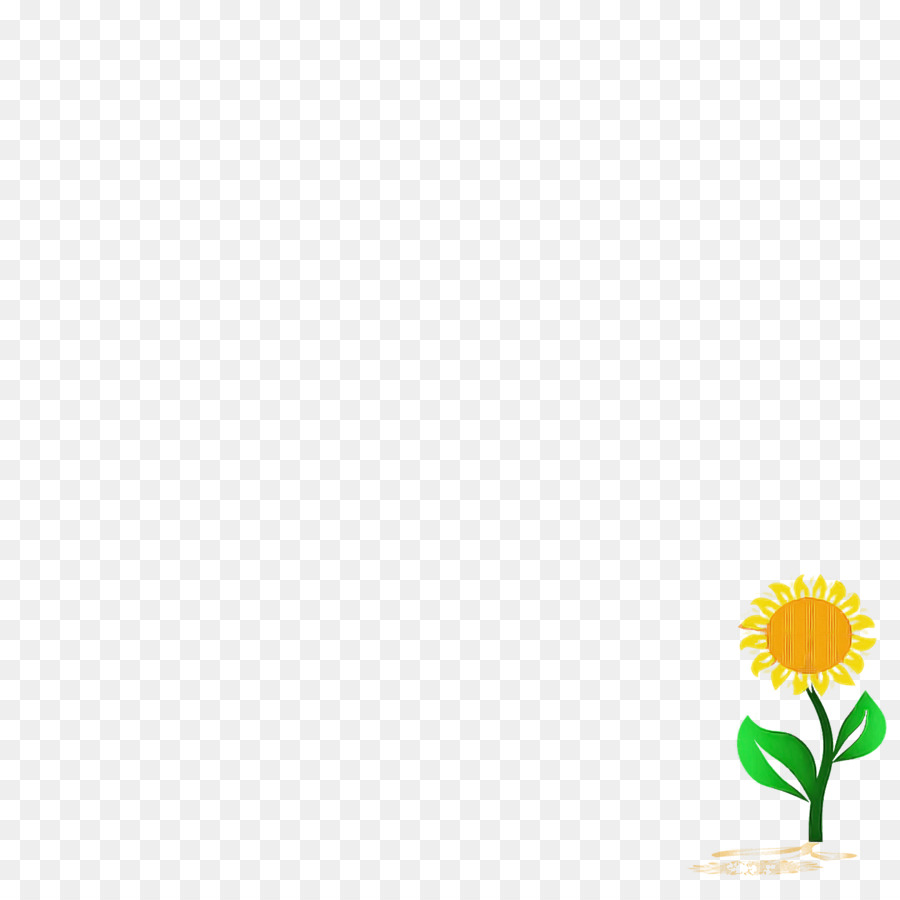 Diseño Floral，Amarillo PNG