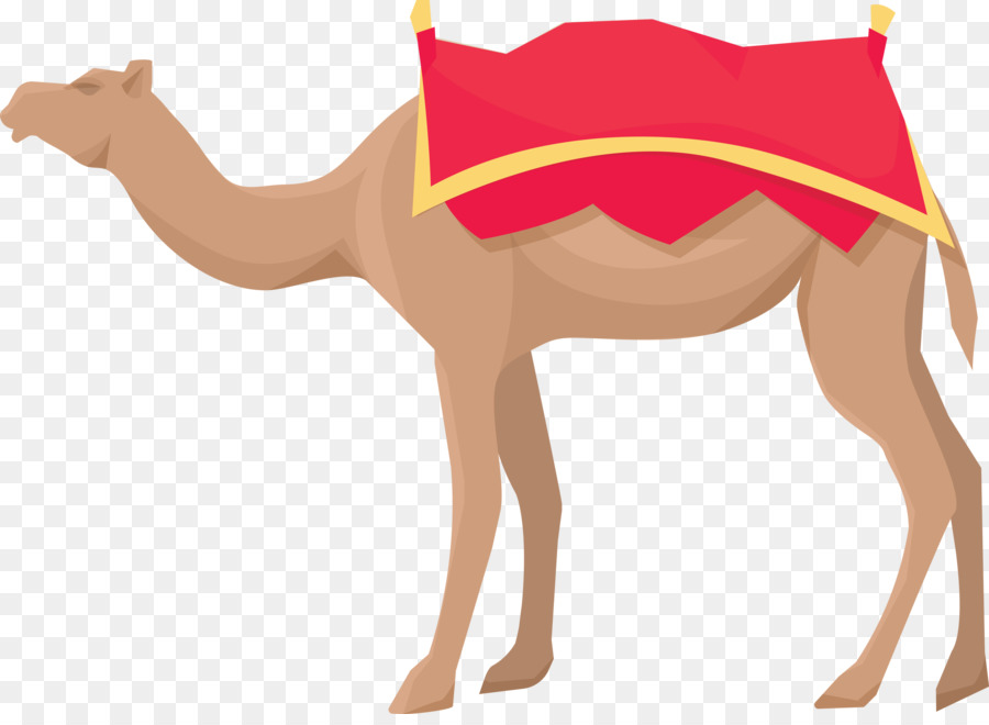 Dromedario，Perro PNG