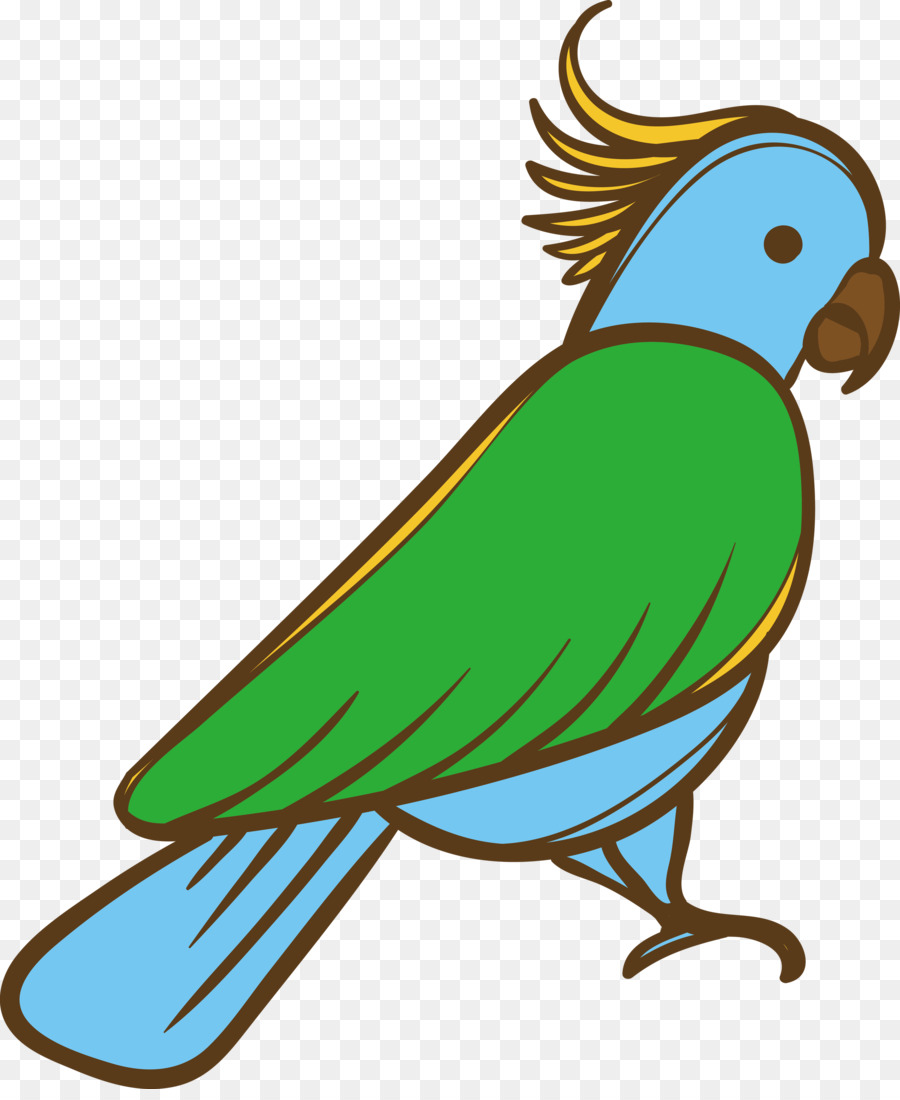 Guacamayo，Parakeet PNG