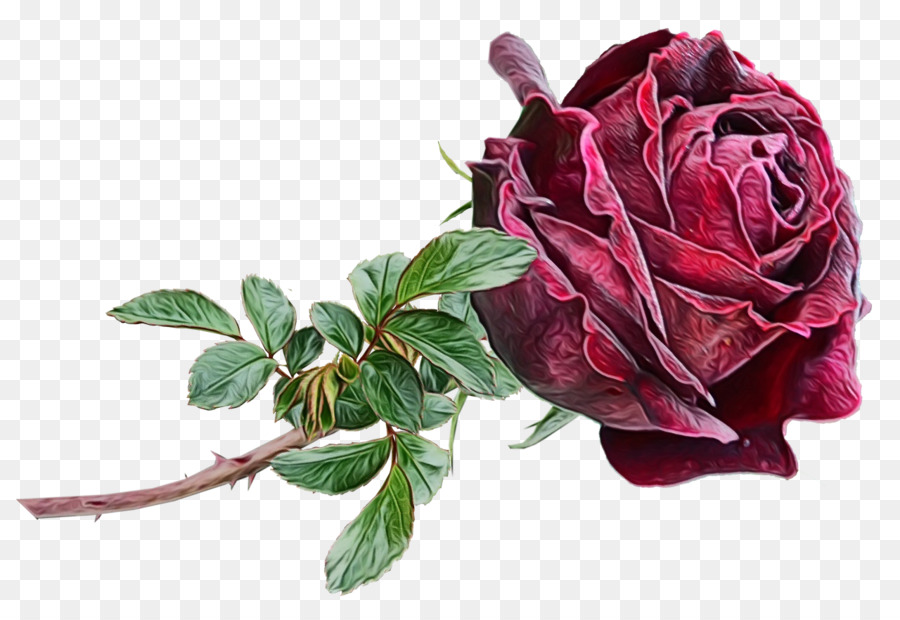 Rosas Rojas，Ramo PNG