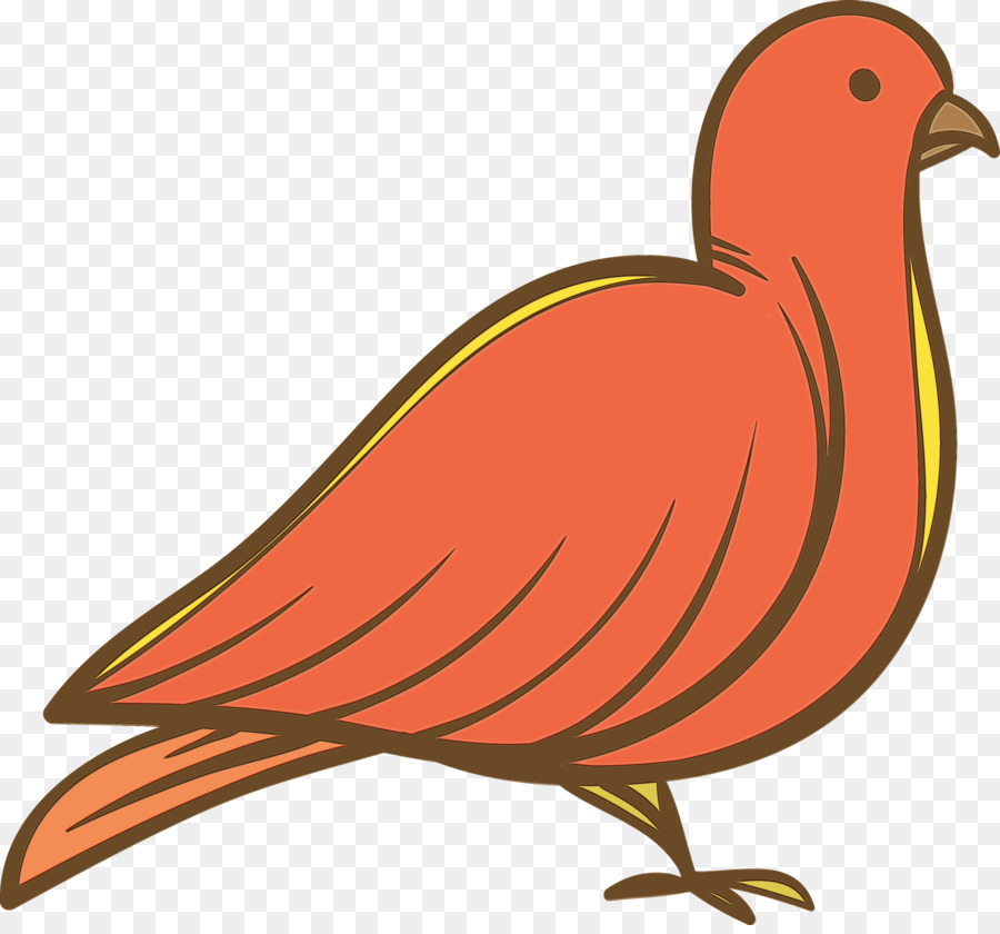 Pájaro De Dibujos Animados，Dibujos Animados PNG