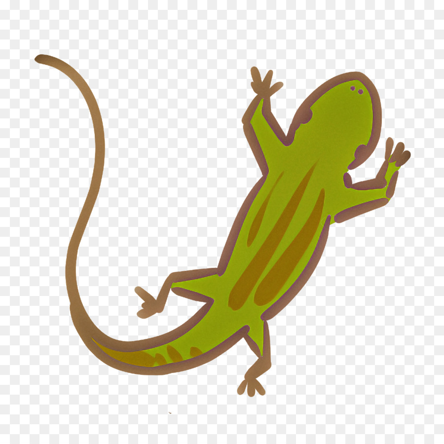 Geco，Lagarto PNG