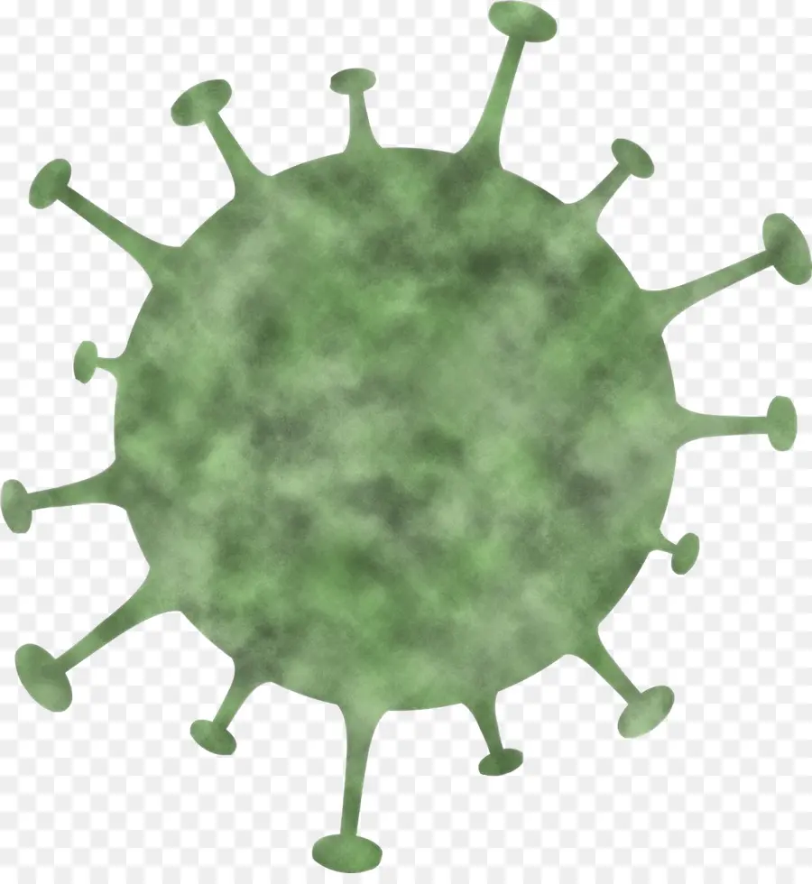 Coronavirus，Síndrome Respiratorio Agudo Severo Coronavirus 2 PNG