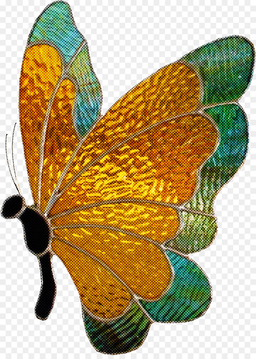 La Mariposa Monarca，Las Mariposas PNG